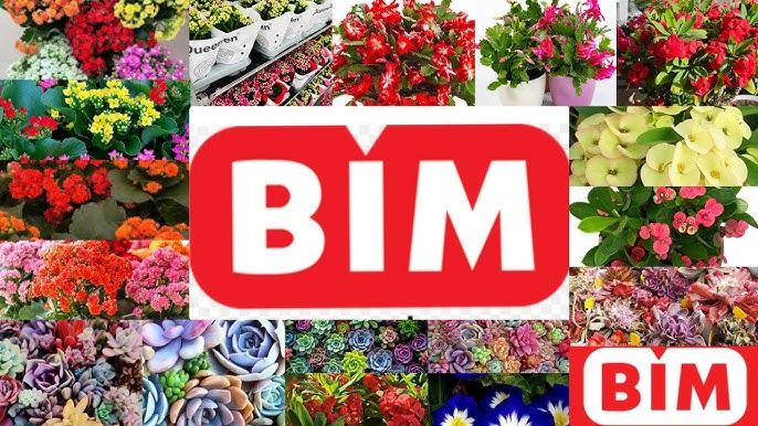 Bim Kiralık Yerim Var